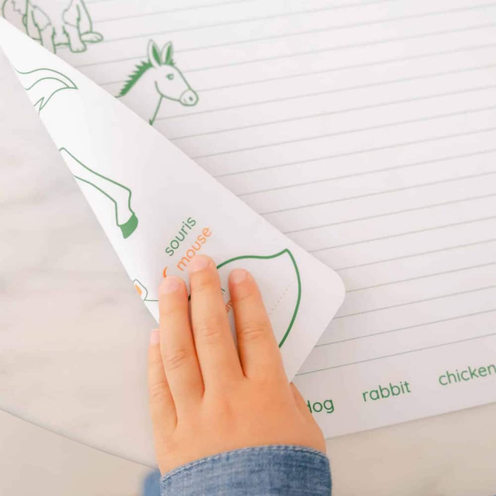 Coloriage éducatif réversible en silicone SuperPetit, animaux de la ferme bilingue